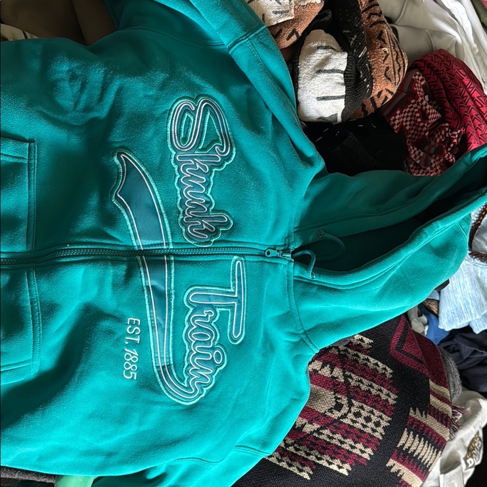 Skunk Train Teal Hoodie